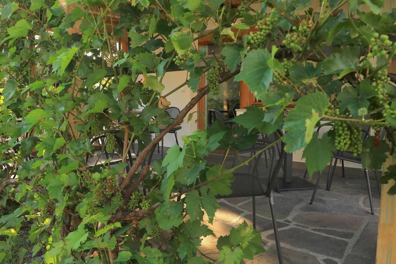 B&B Fruehlingsheim Racines Εξωτερικό φωτογραφία